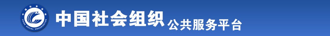 啊啊啊肏屄日屄全国社会组织信息查询